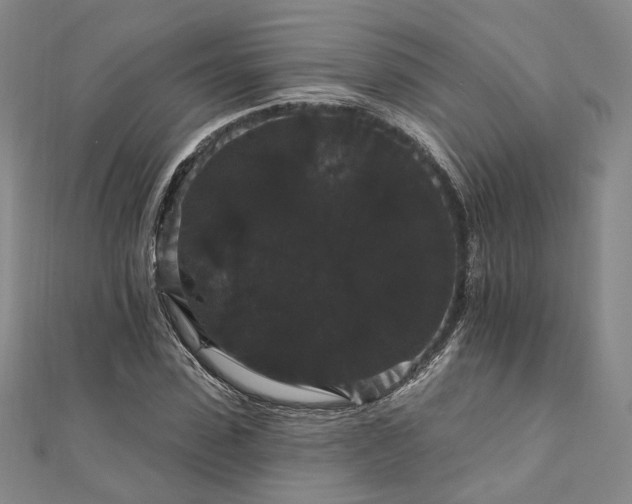 X0000111910923200908031134