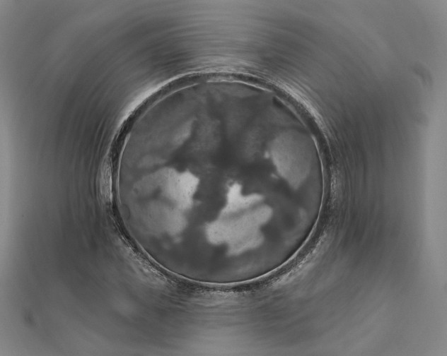 X0000111910925200908031134