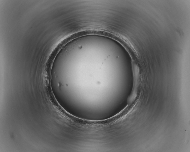 X0000111910926200908031134