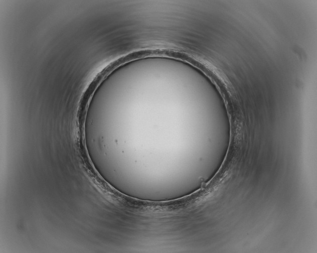 X0000111910927200908031134
