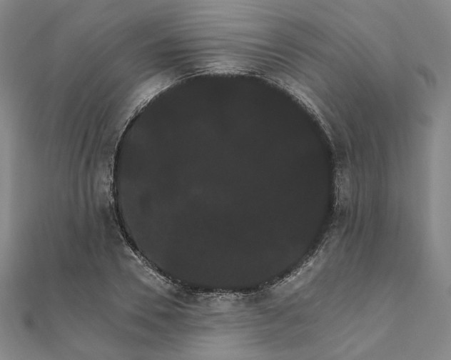 X0000111910930200908031134
