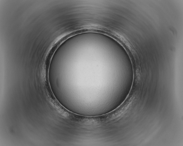 X0000111910931200908031135