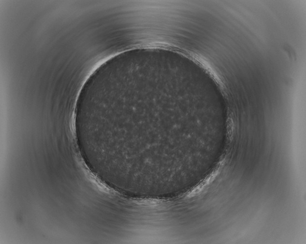X0000111910932200908031135