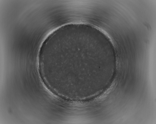 X0000111910935200908031135