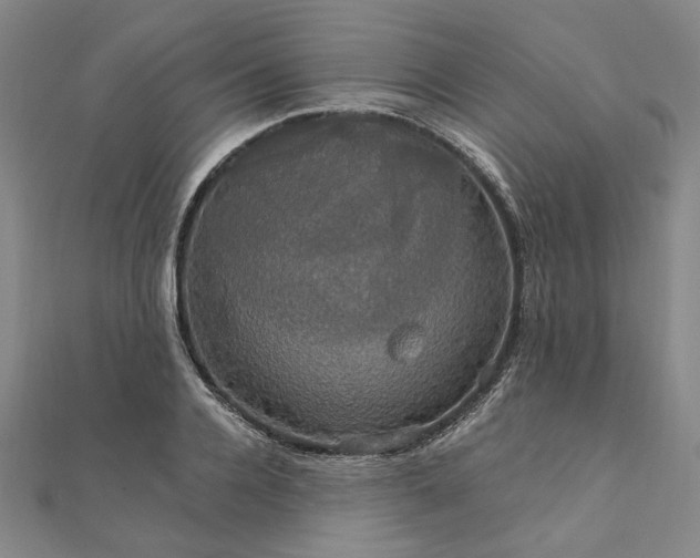 X0000111910936200908031135