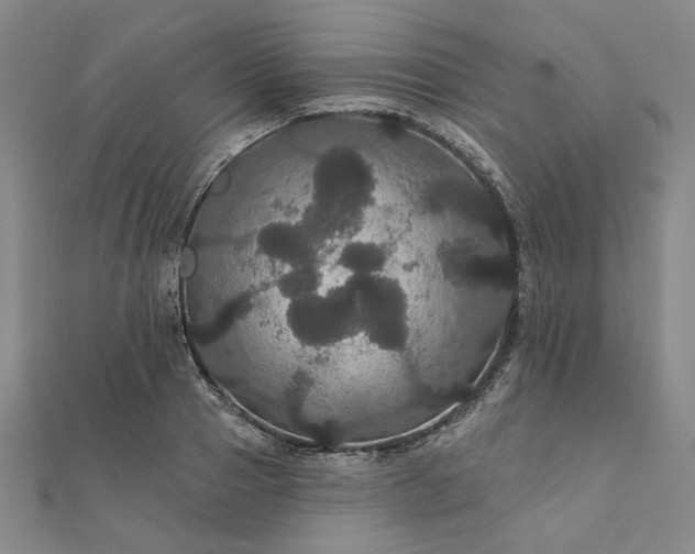 X0000111910937200908031135