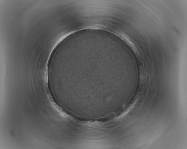 X0000111910940200908031135