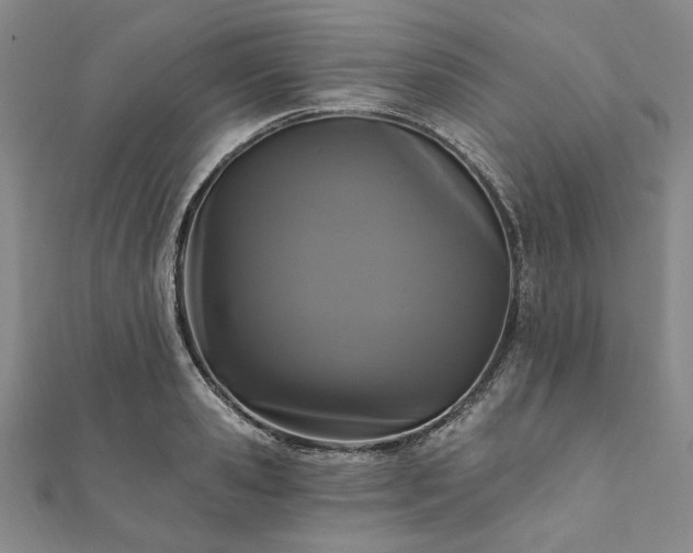X0000111910941200908031135