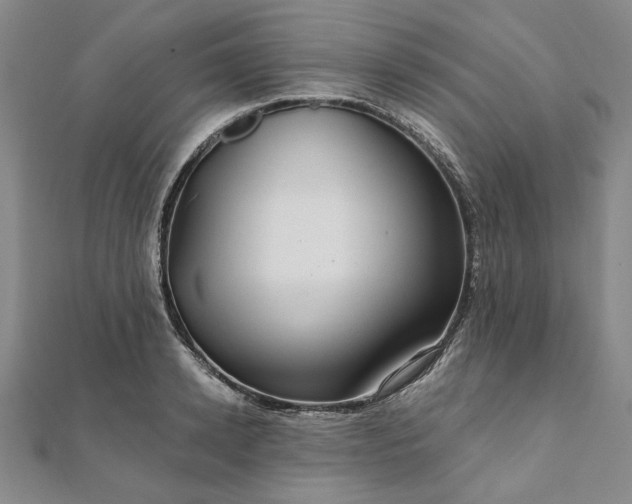 X0000111910942200908031135