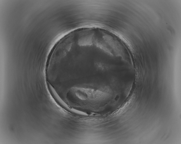 X0000111910943200908031135