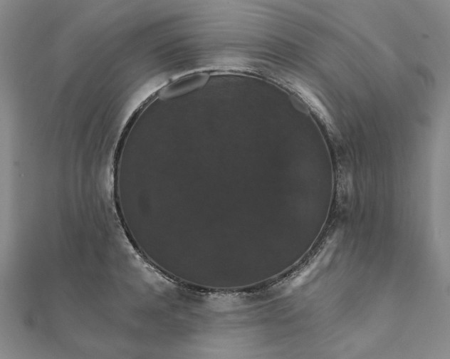 X0000111910944200908031135