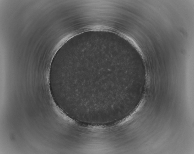 X0000111910946200908031135