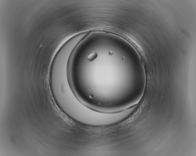 X0000111910948200908031135