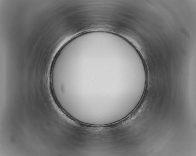 X0000111910949200908031135