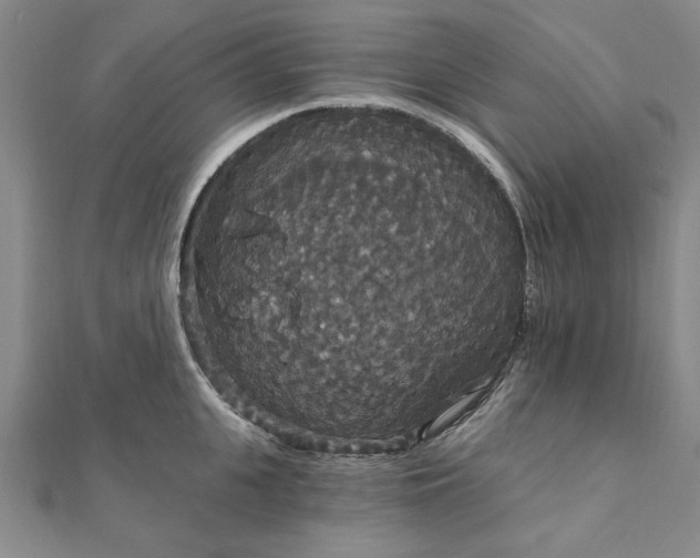 X0000111910951200908031135