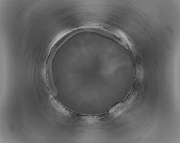 X0000111910952200908031135
