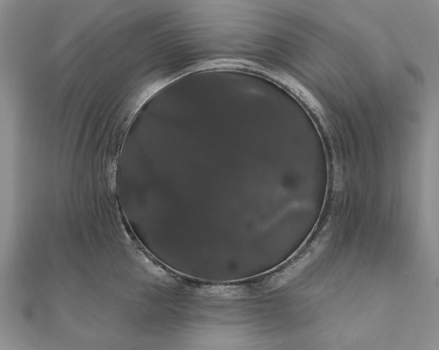 X0000111910953200908031135