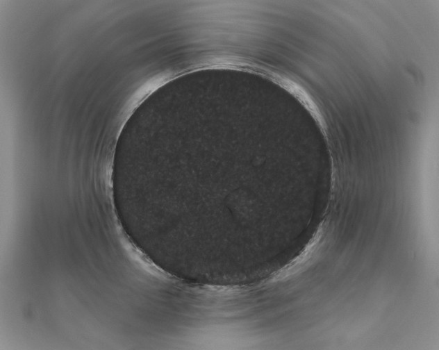 X0000111910954200908031135