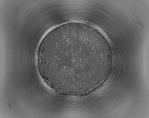 X0000111910955200908031135