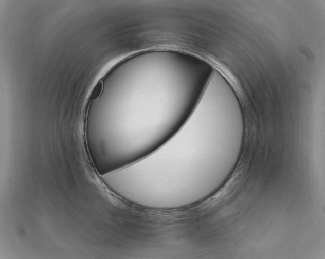 X0000111910956200908031135
