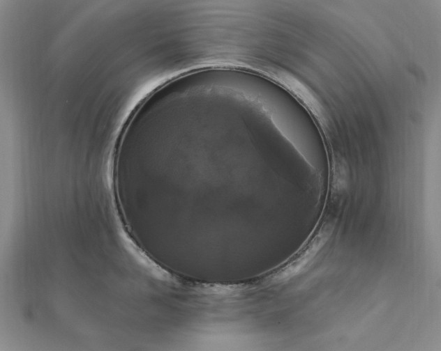 X0000111910958200908031135