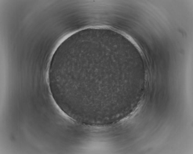 X0000111910959200908031135