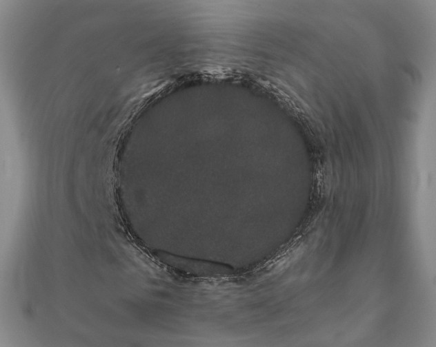 X0000111910961200908031134