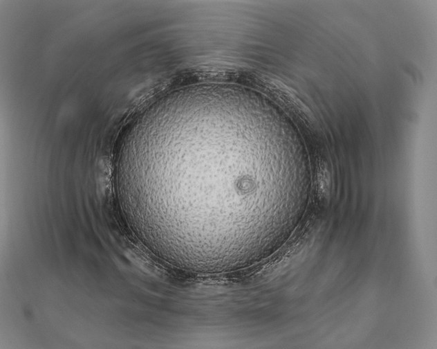 X0000111910964200908031134