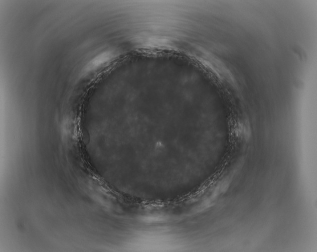 X0000111910965200908031134