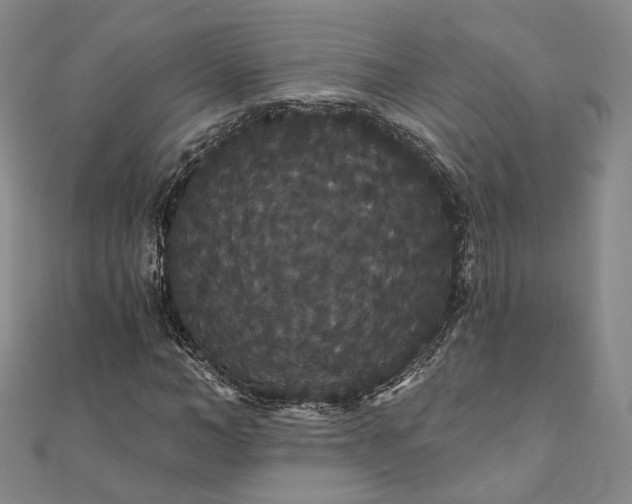 X0000111910966200908031134