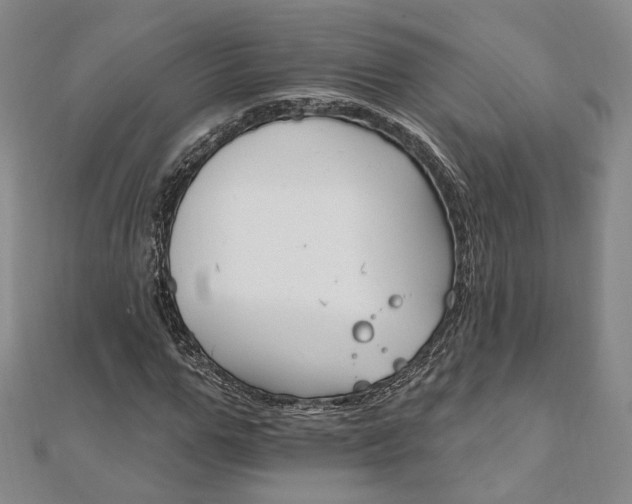 X0000111910967200908031134