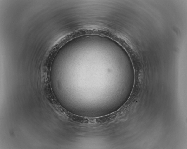 X0000111910968200908031134