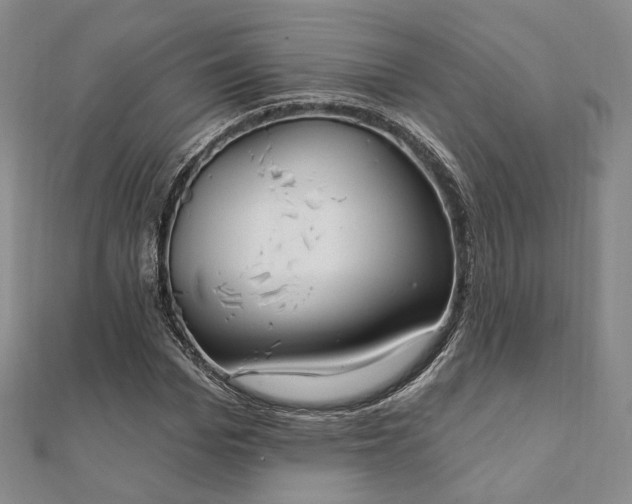 X0000111910969200908031134