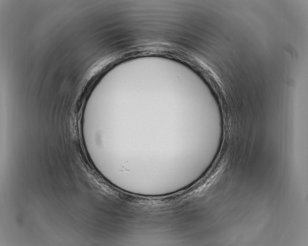 X0000111910970200908031134