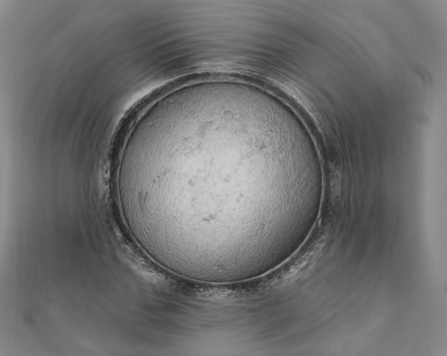 X0000111910971200908031134