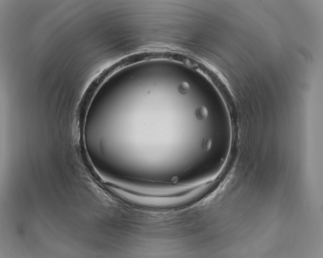 X0000111910973200908031134