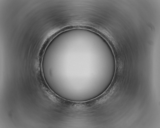 X0000111910974200908031134