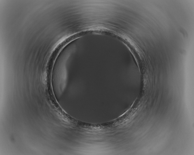 X0000111910975200908031134