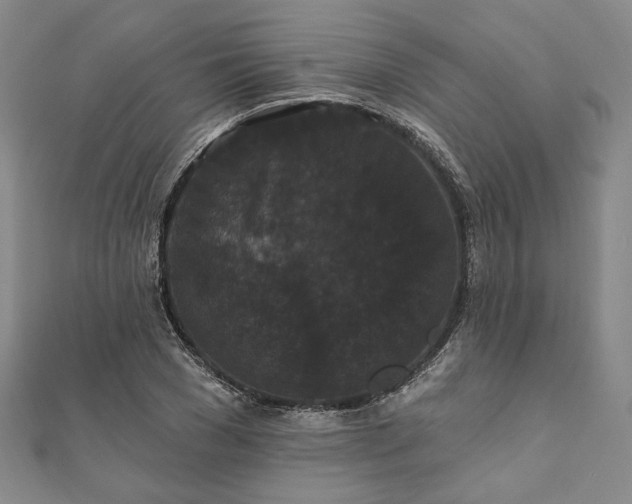 X0000111910977200908031134
