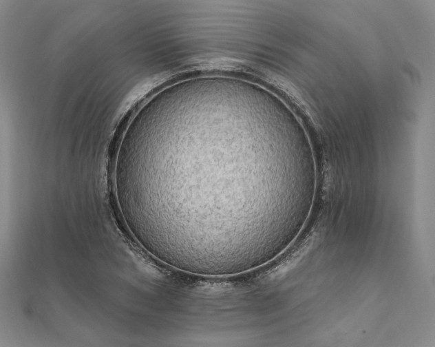 X0000111910978200908031134