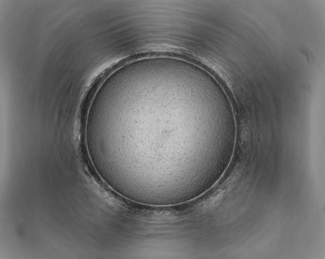 X0000111910979200908031134