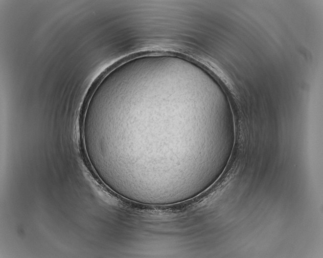 X0000111910980200908031134