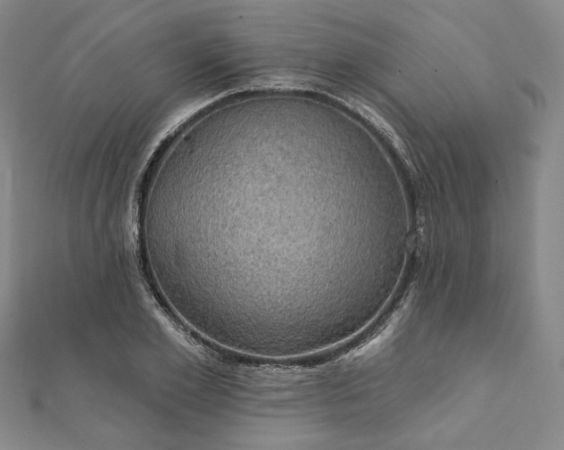 X0000111910981200908031134