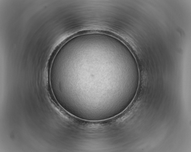 X0000111910982200908031134