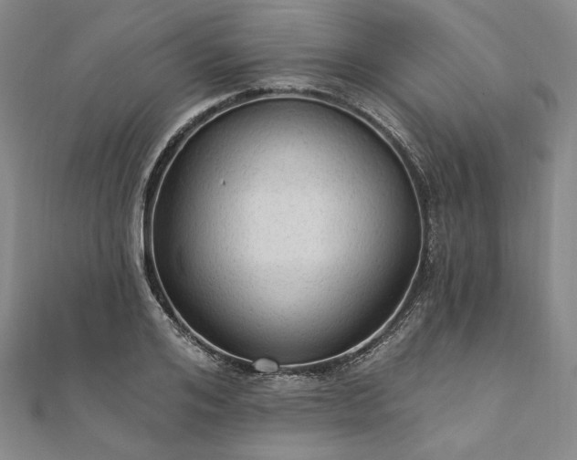 X0000111910984200908031134