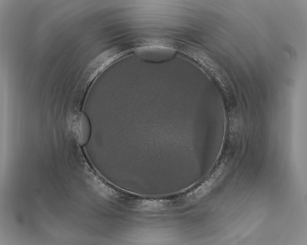 X0000111910985200908031134