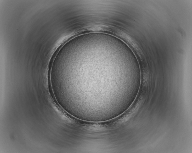 X0000111910986200908031134