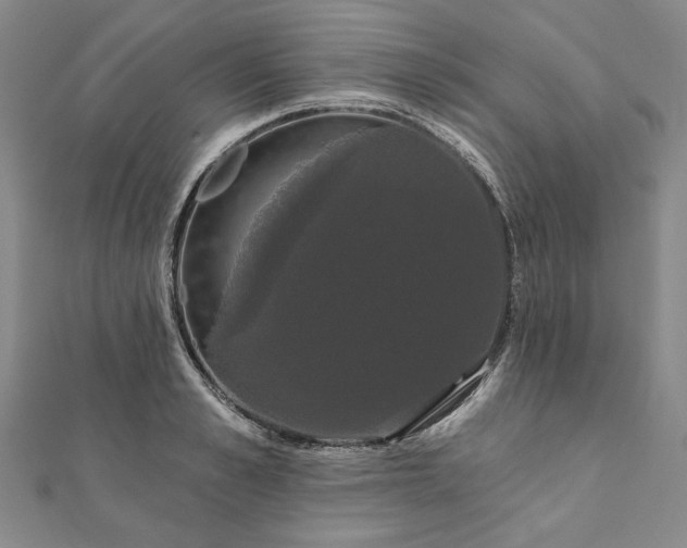 X0000111910989200908031134