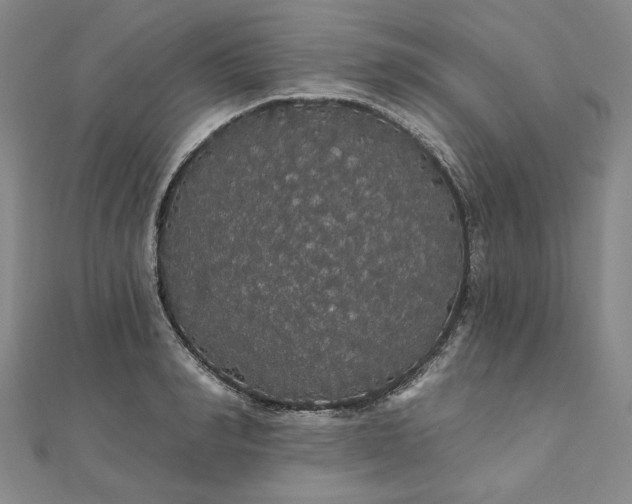 X0000111910990200908031134