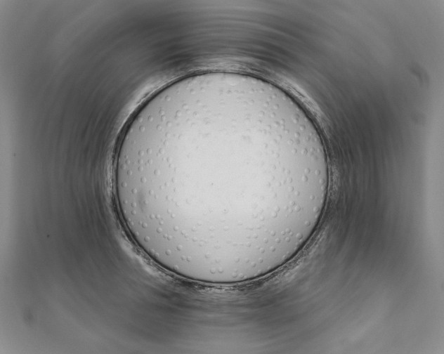 X0000111910994200908031134